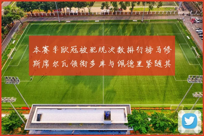 本赛季欧冠被犯规次数排行榜马修斯席尔瓦领衔多库与佩德里紧随其后