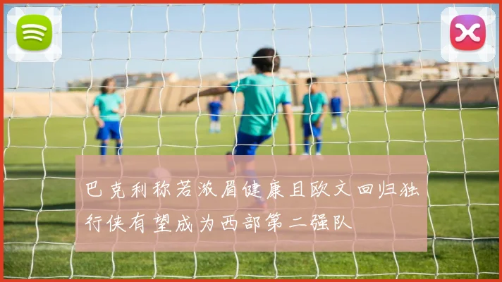 巴克利称若浓眉健康且欧文回归独行侠有望成为西部第二强队