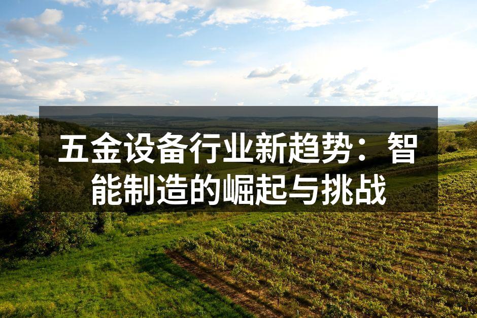 五金设备行业新趋势：智能制造的崛起与挑战